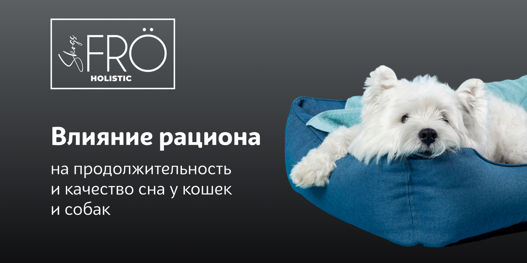 Почему питомец плохо спит?