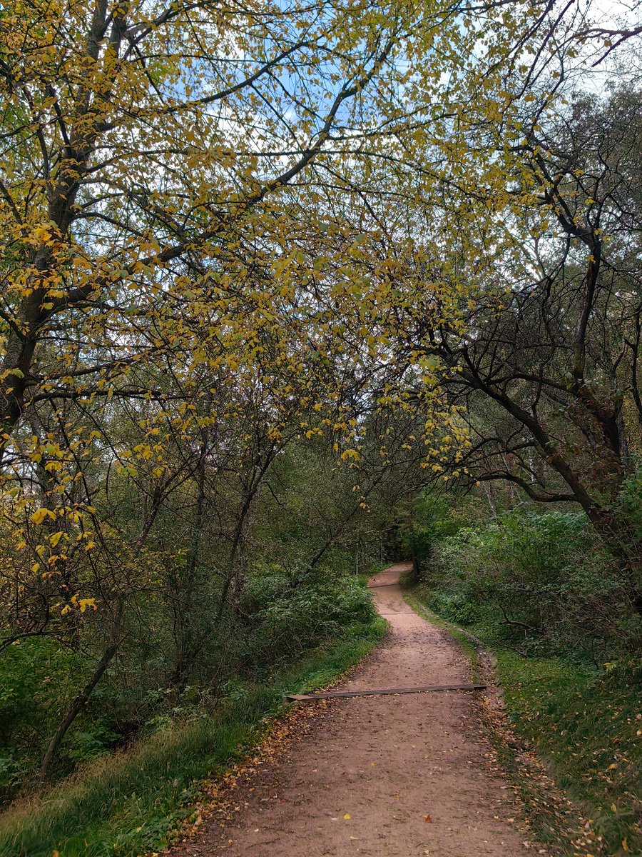 Фото автора
