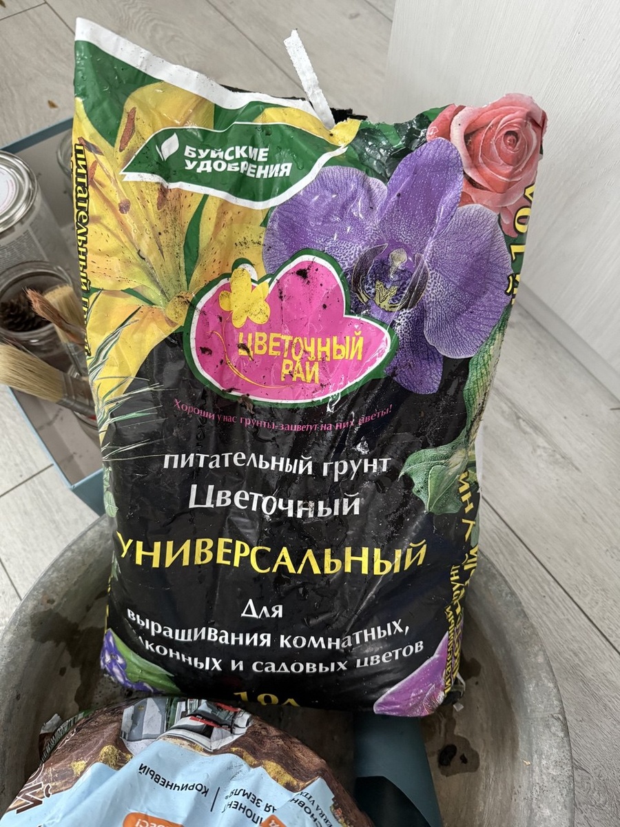 Хороший грунт, но смешанный с садовой землей ещё лучше становится