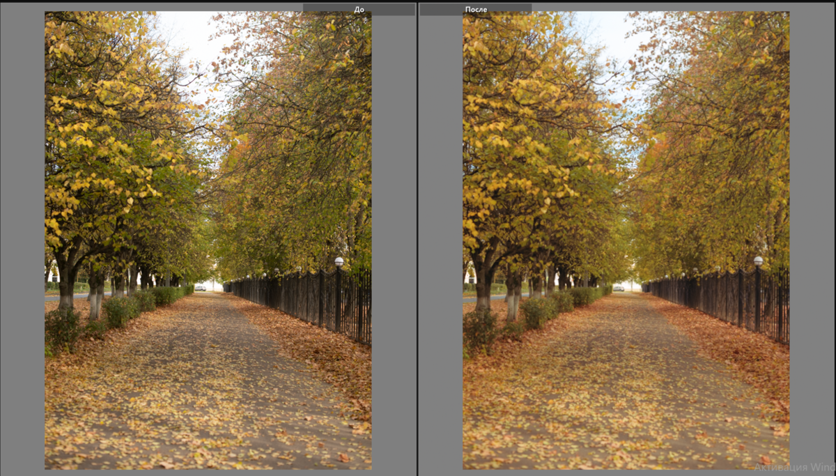 Слева RAW, справа изображение после цветокоррекции