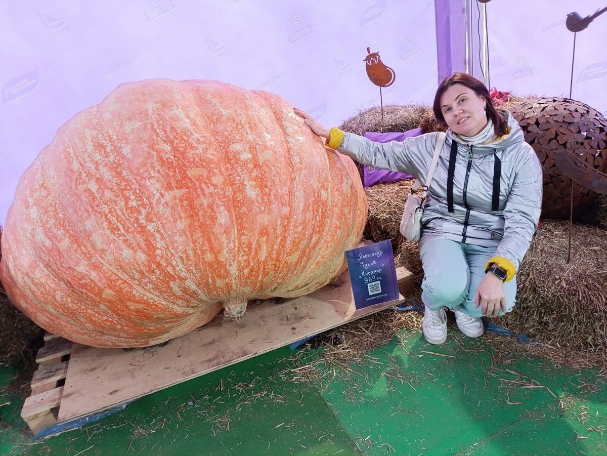 Самая большая тыква