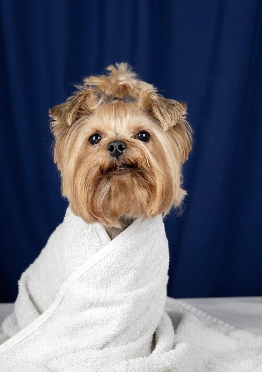      None Фото: freepik.com