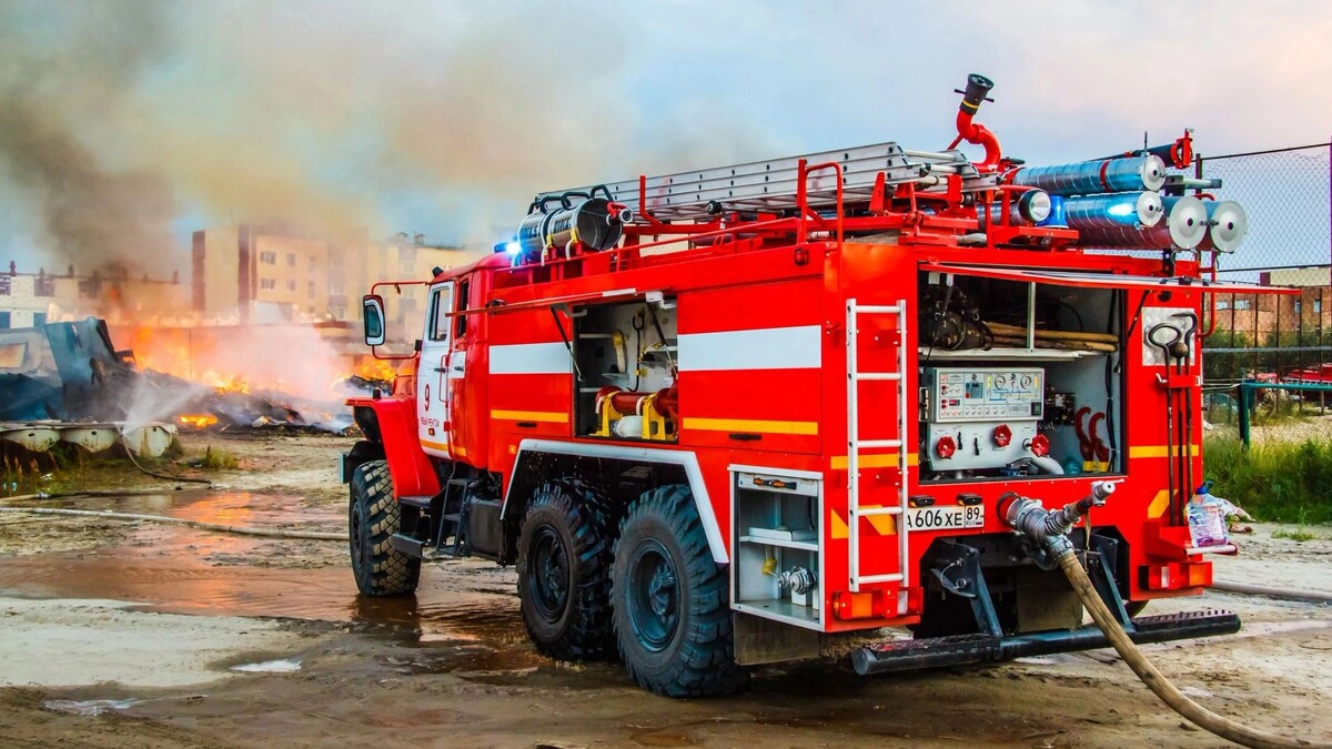    Фото: Art Konovalov/Shutterstock/Fotodom