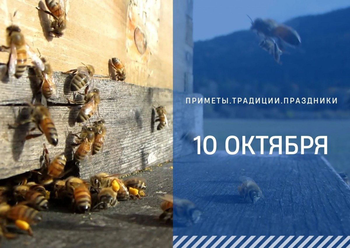   ГТРК "Ставрополье"