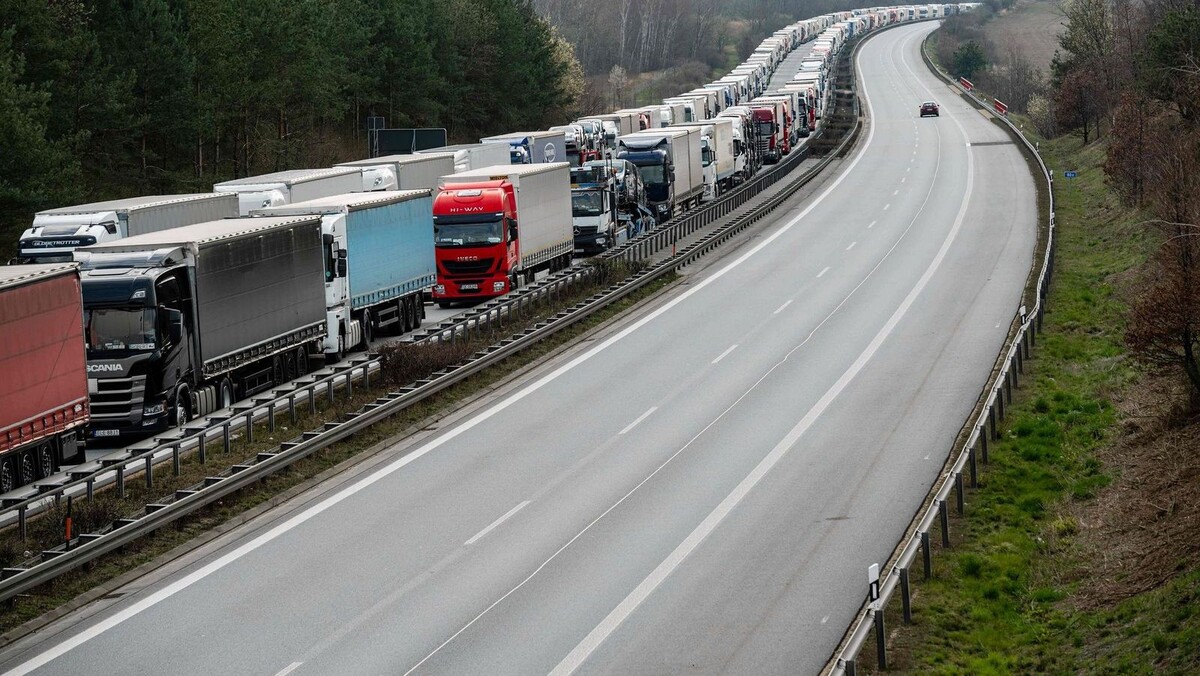 Источник: Фото из открытых источников.