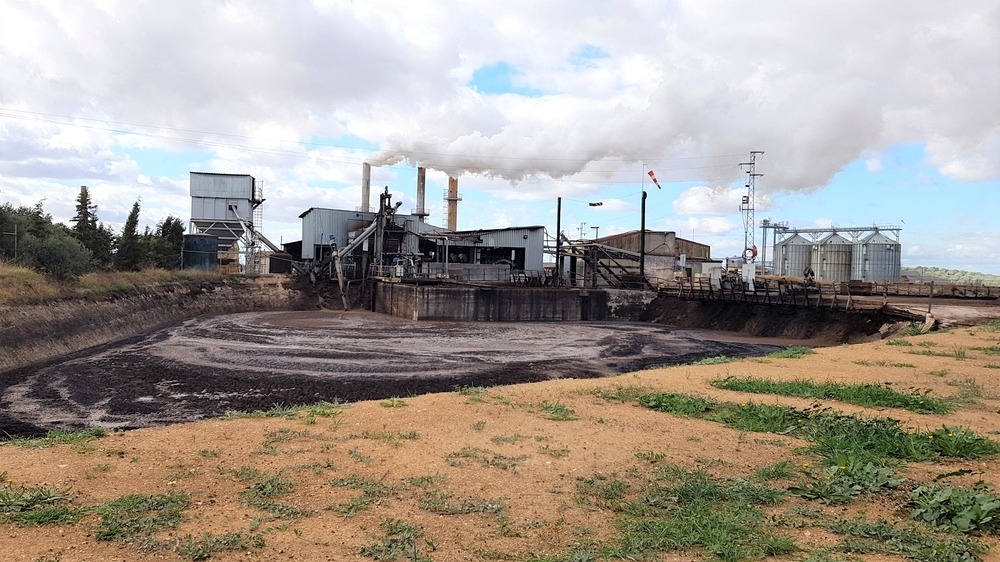 Орухерия: отстойник alperujo перед заводом по переработке жмыха; пар из труб, технологические ёмкости и тёмная вязкая поверхность пруда.