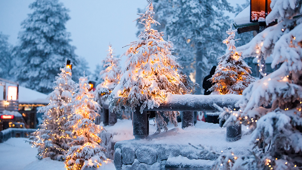     Фото: Andrei Kobylko/Shutterstock/FOTODOM