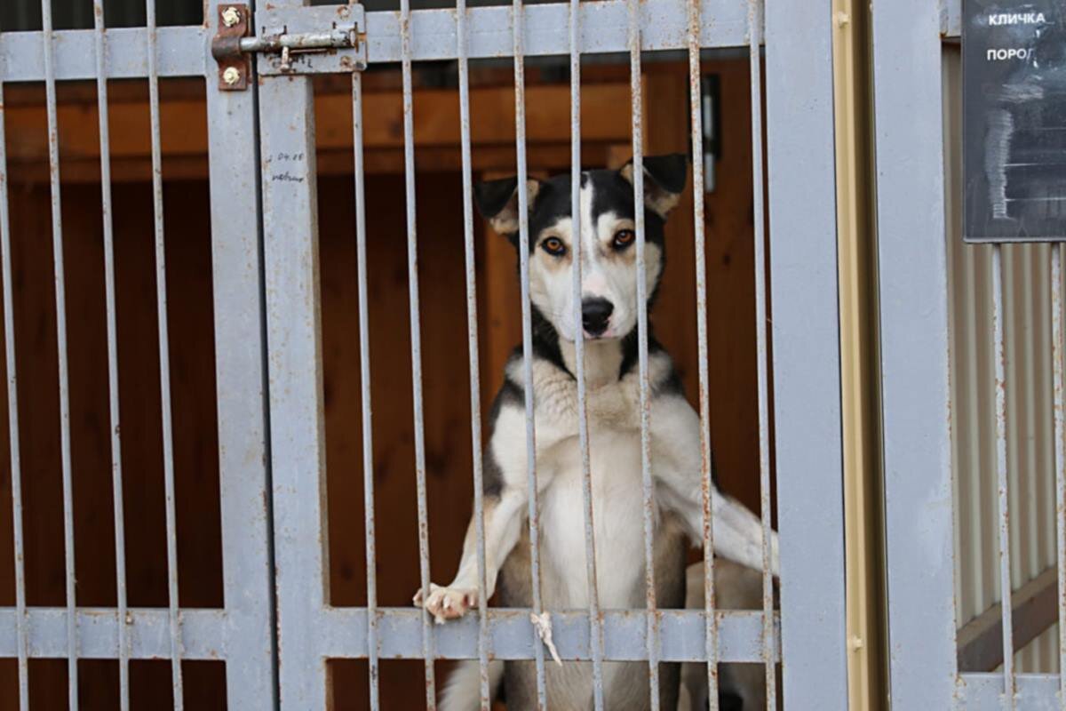    Фото: «Правда ПФО», источник: pravdapfo.ru