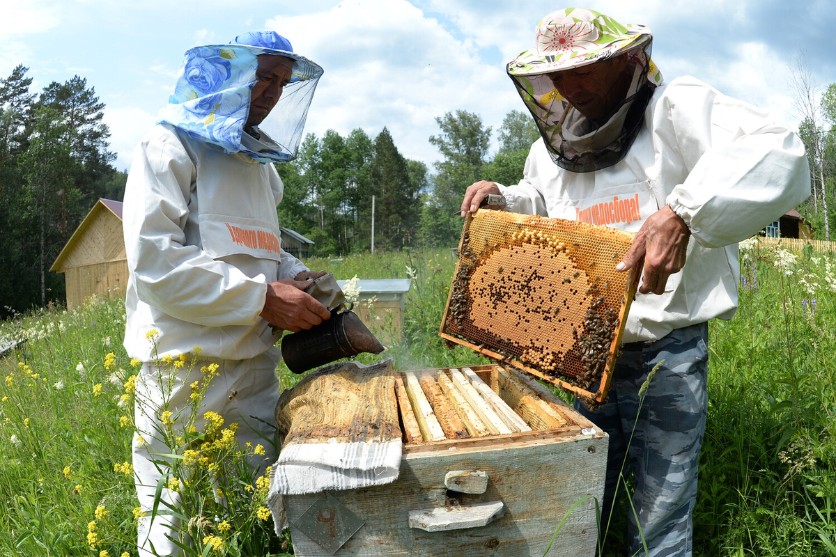 Источник: gazeta.ru