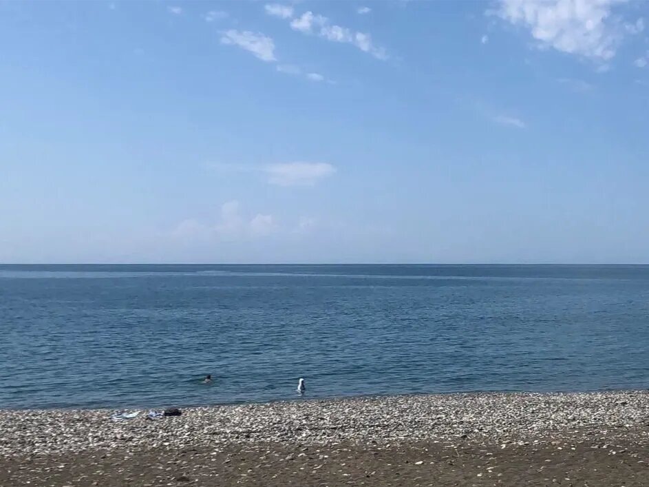 Пляж покрыт песком, но иногда встречается галька. Фото: Наталья Вальтер / Яндекс Карты