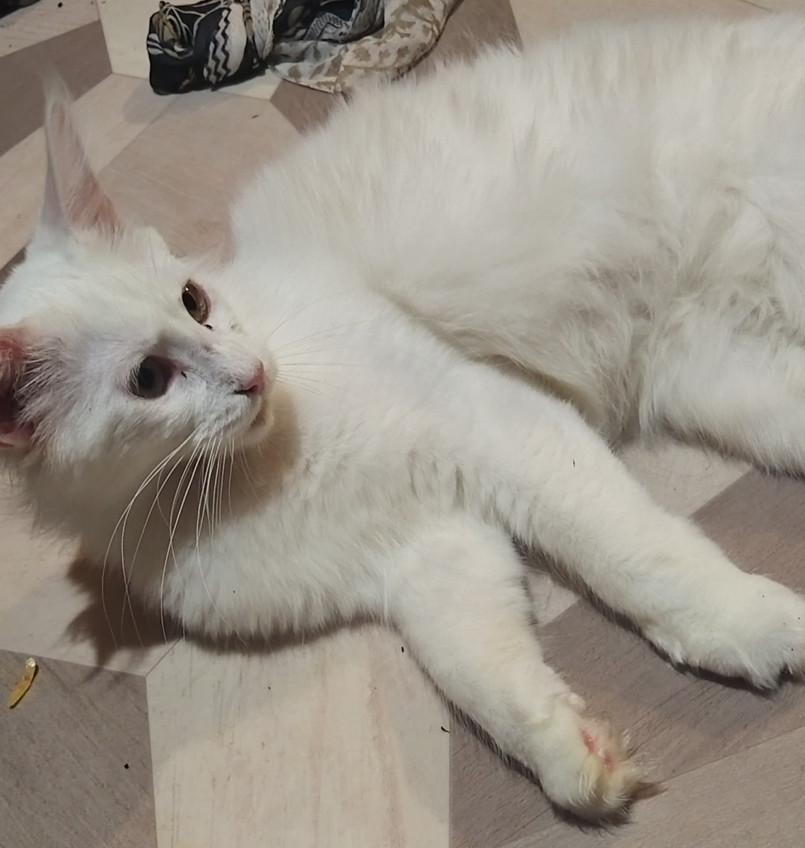 Чего боится не понимаю 