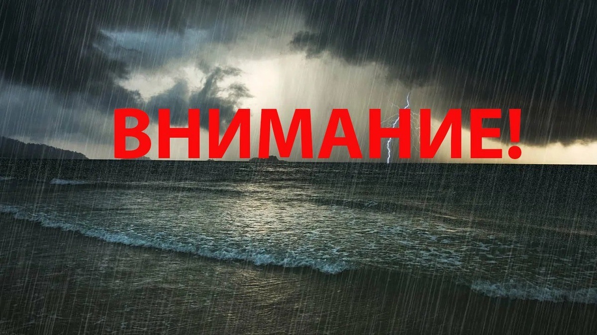    Фото t.me/mcusochi