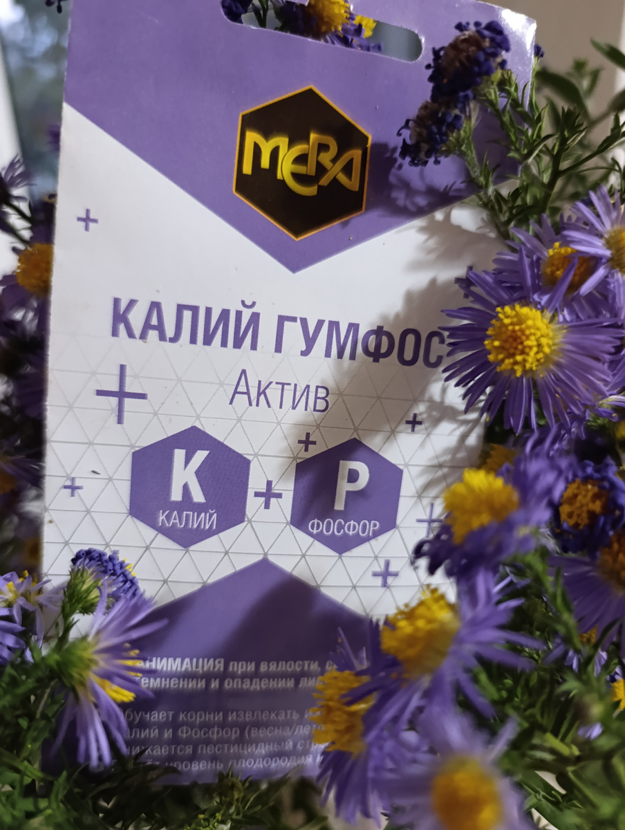 Долгосрочные инвестиции в здоровье сада