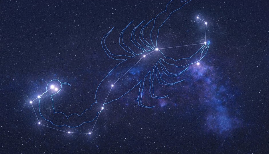 Гороскопы: Скорпион — что интересного можно узнать о человеке-Скорпионе