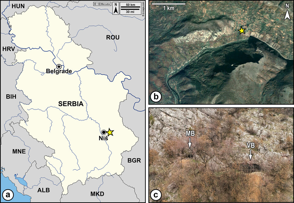   Predrag Radović et al. / American Journal of Biological Anthropology, 2025