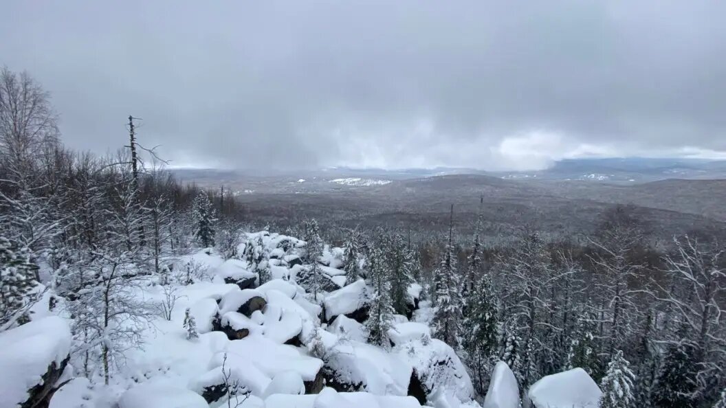    ГСУ СК России по Красноярскому краю и Республике Хакасия