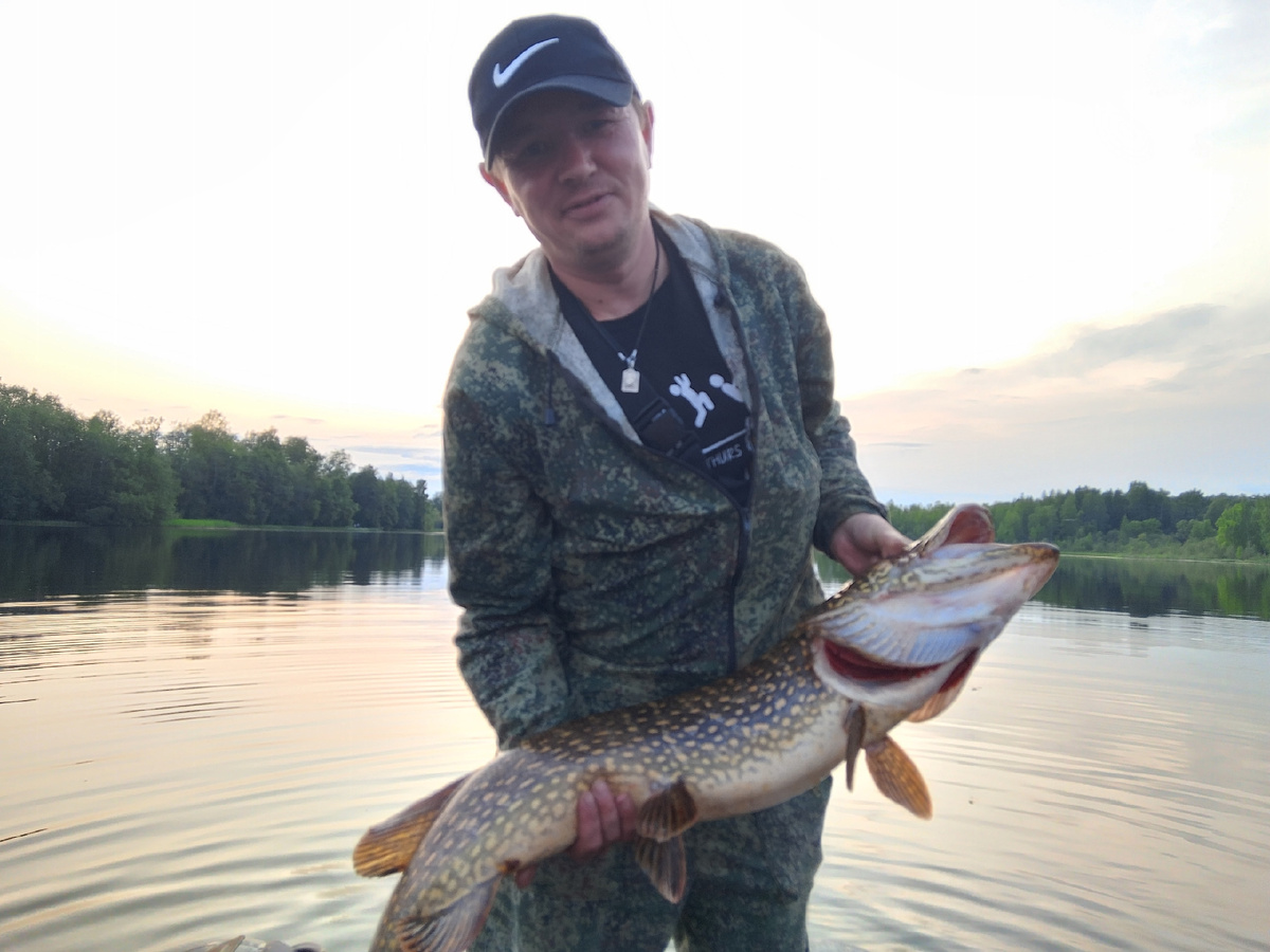 фото: Dimarik Losev