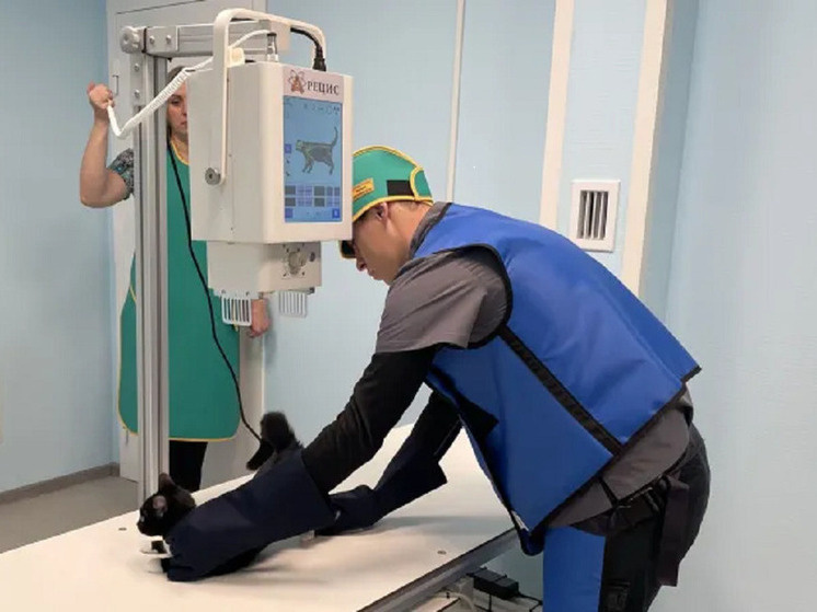     фото: служба ветеринарии ЯНАО