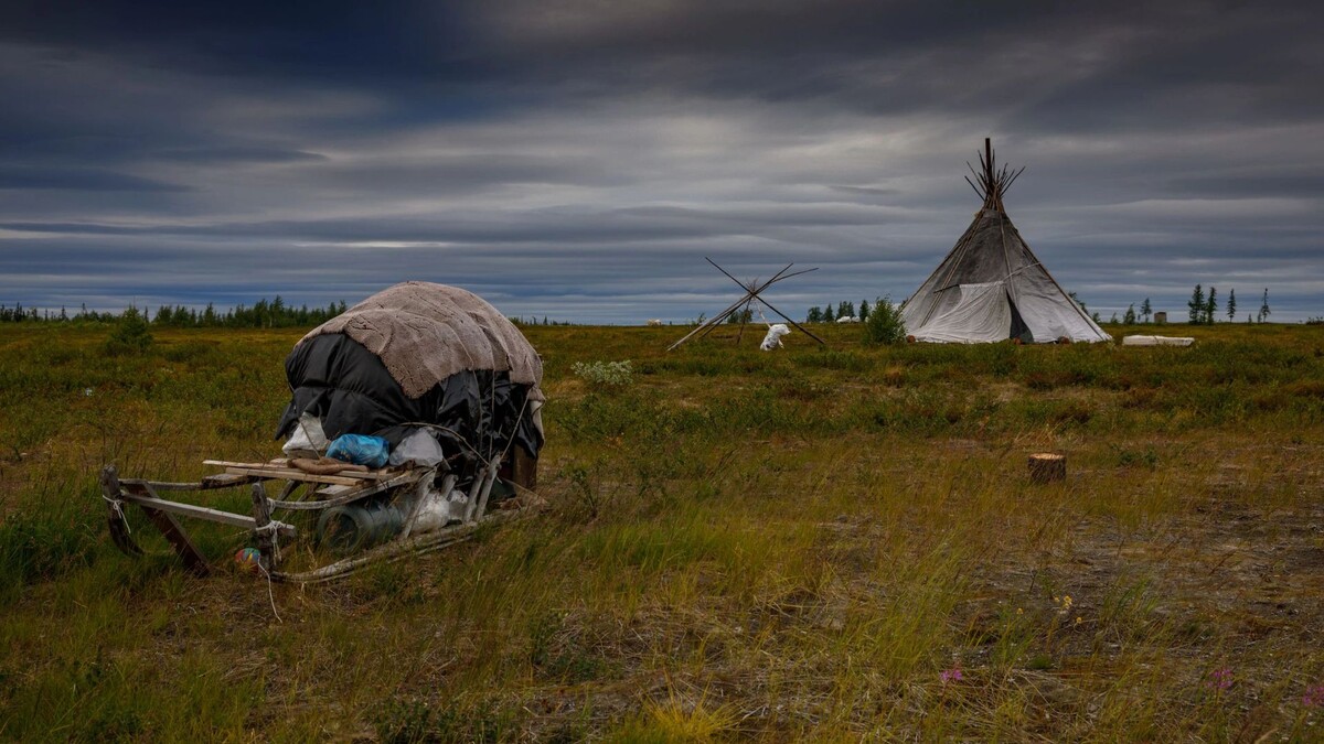    Фото: Evgeny Kuzhilev / Shutterstock / Fotodom