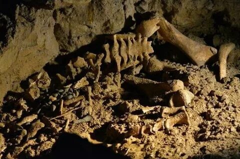 «Эти останки пролежали 12 000 лет. Анализ ДНК показал: они не от мира сего.»