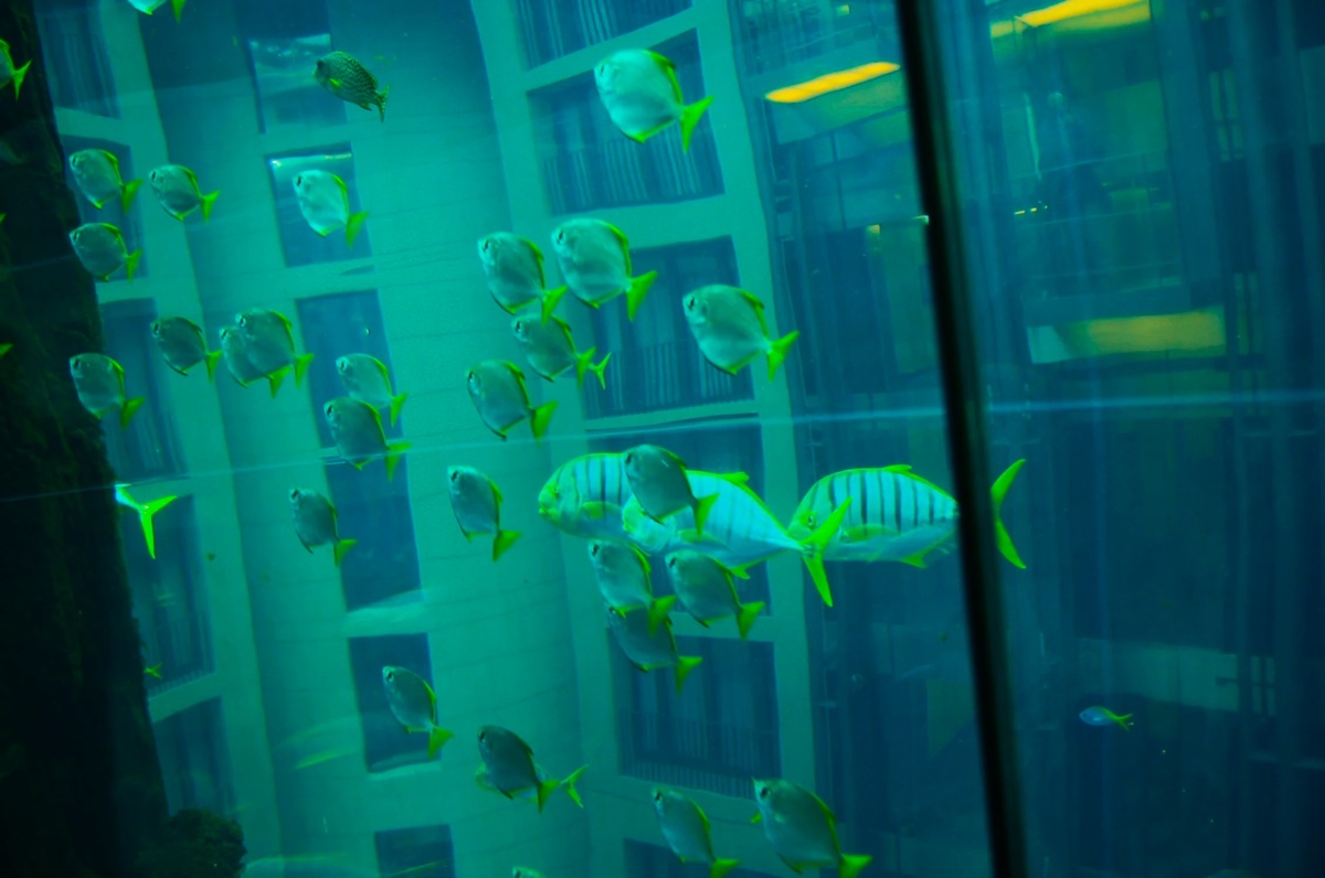 Фото автора. 2007 год.