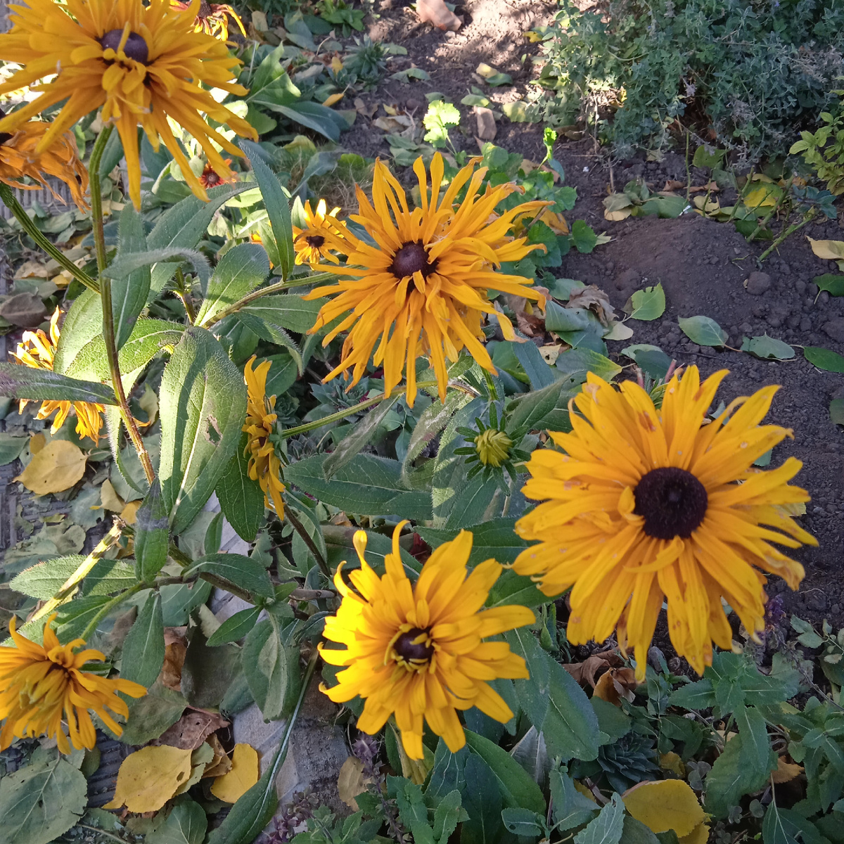 сегодняшние фото