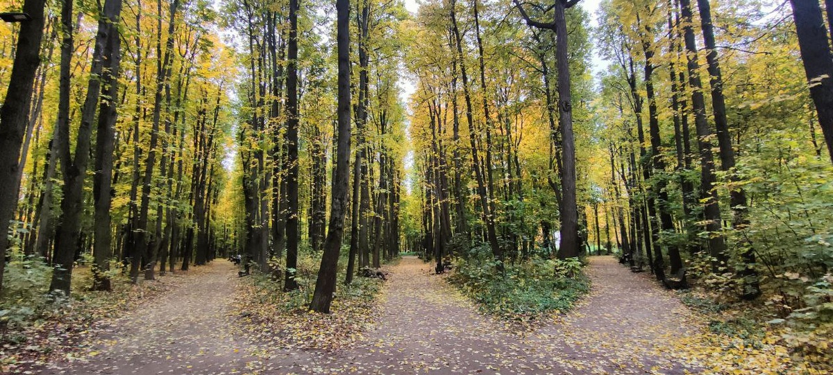 Словно зеркало стоит, но это просто фото