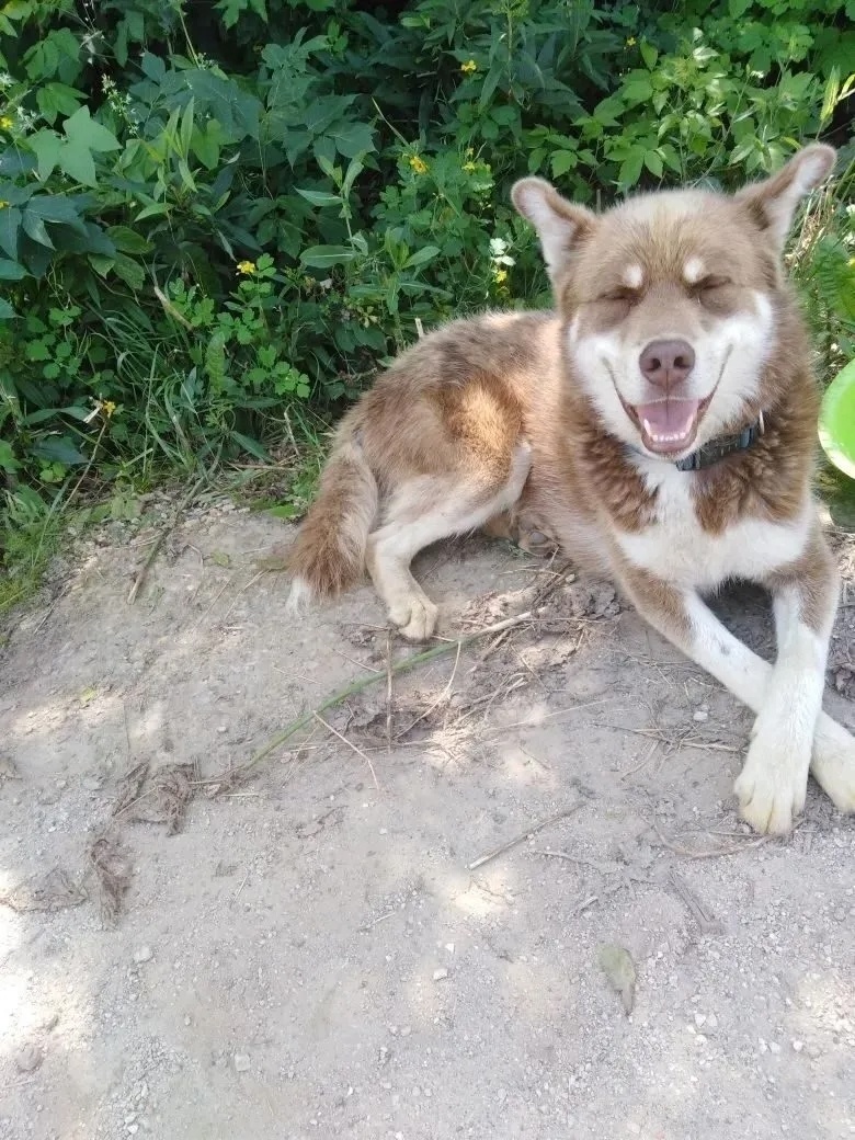 Чудо шоколадное♥️