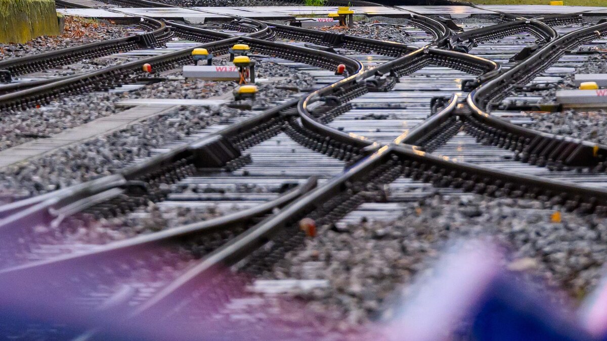    Фото: Patrick Pleul/globallookpress.com