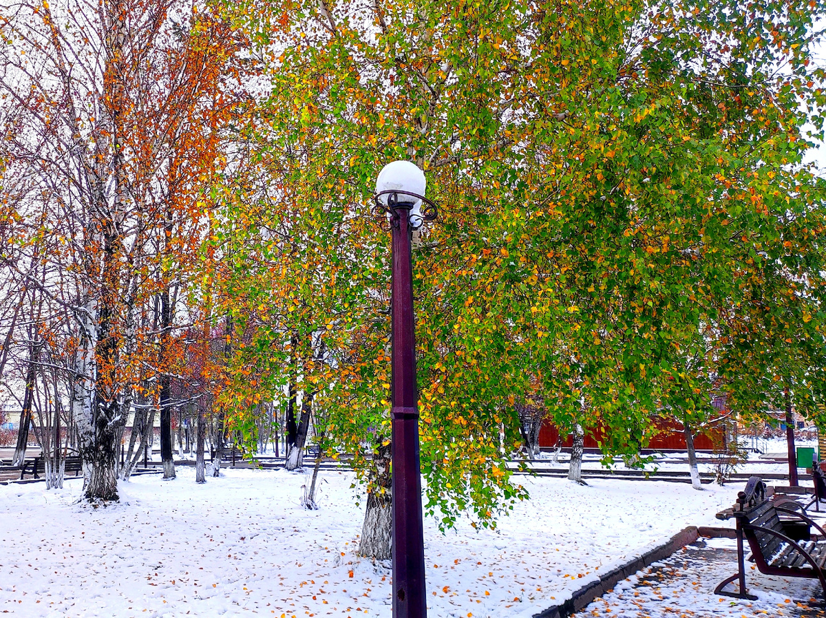 Фото автора 