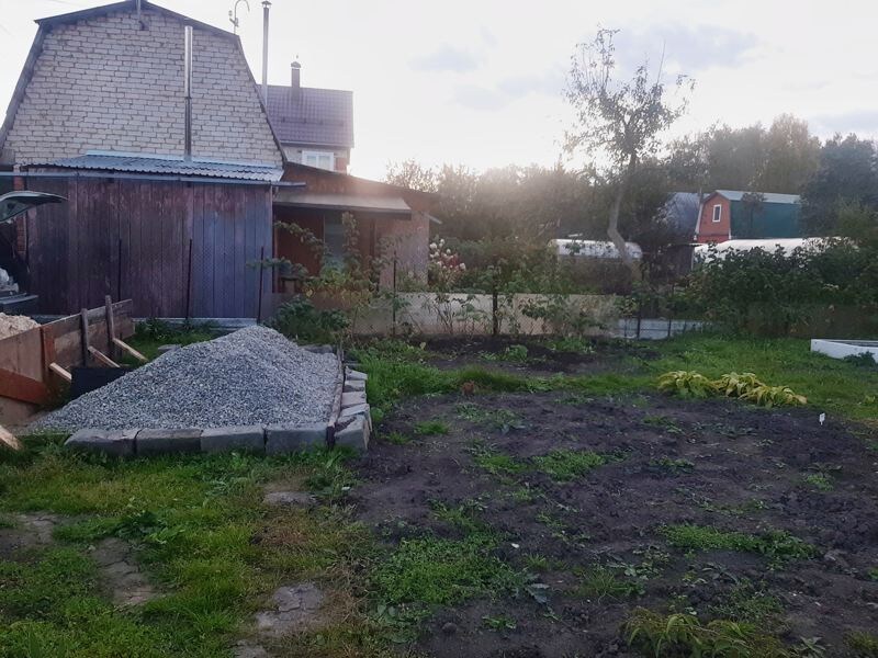 Будущий газон - за год так и не смог превратится в красивую лужайку