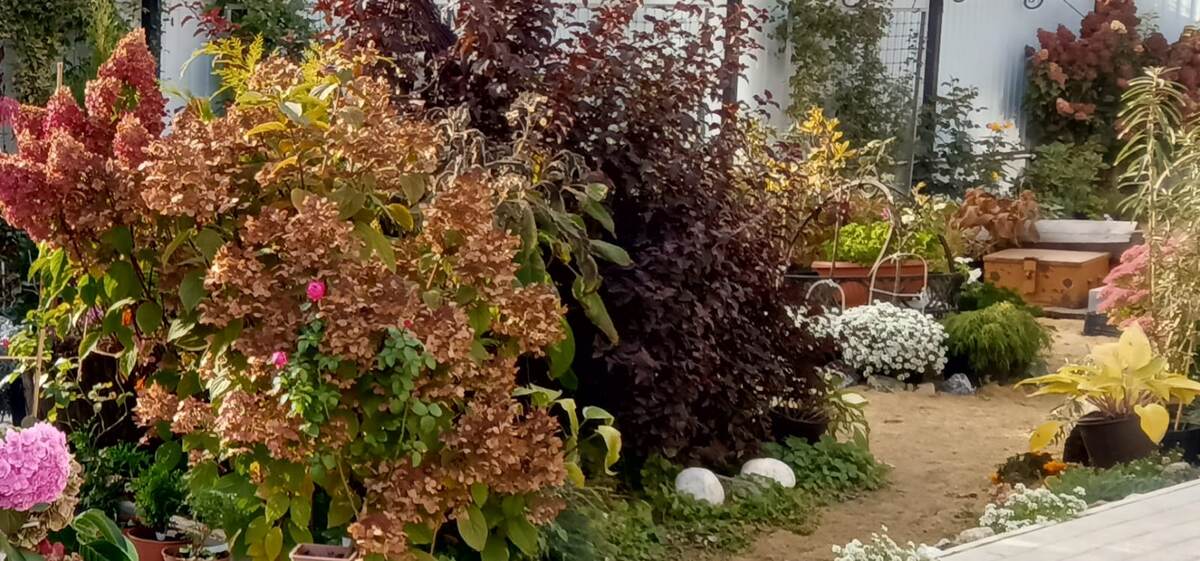 Фото Десятниковой Валентины.