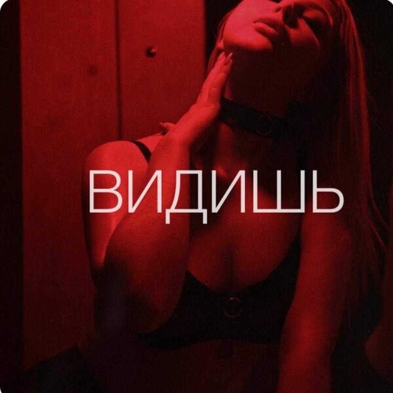 Анастасия Казанцева: «Видишь»