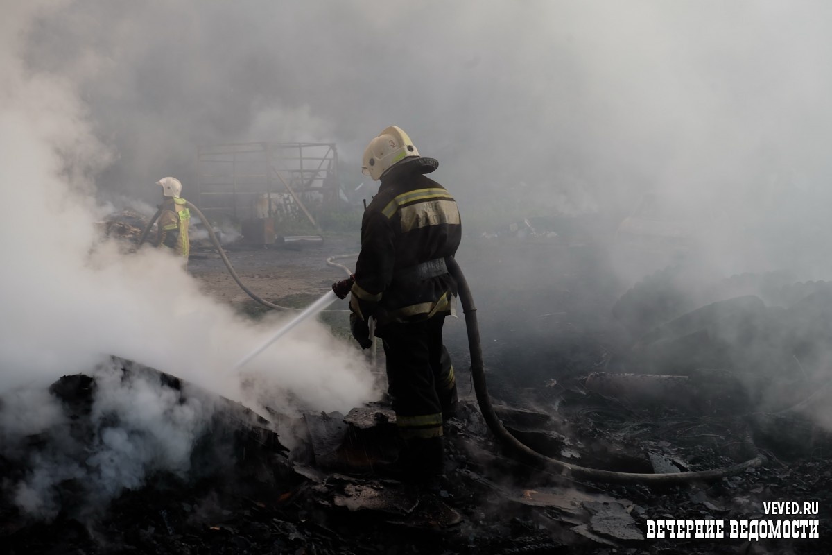     Фото: Владислав Постников / Вечерние Ведомости