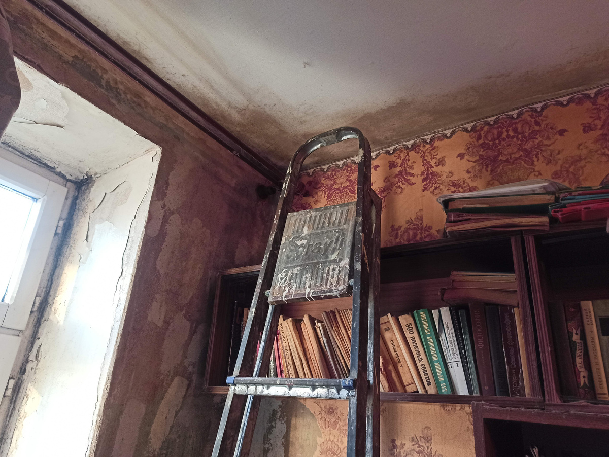 Плесень как на потолке, так и вокруг окон