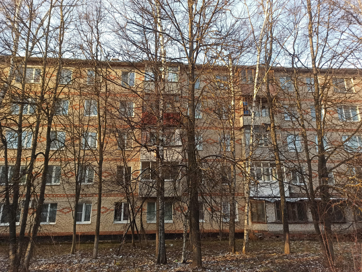 А дом - обычная "хрущевка"