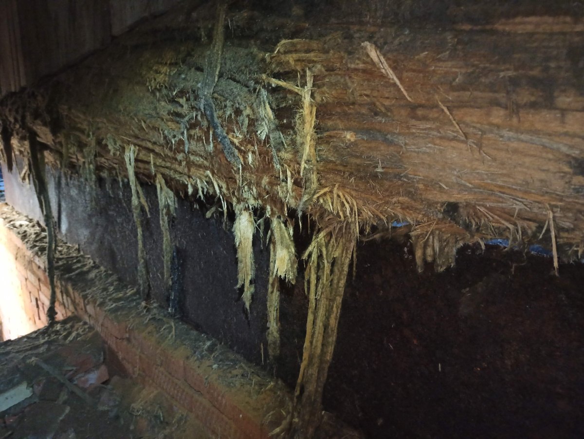 И свисают вниз