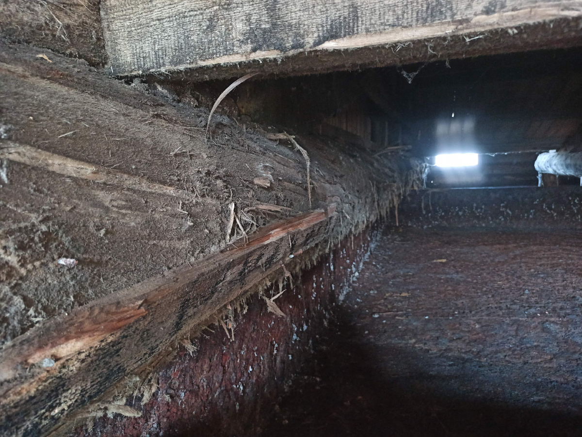 Волокна буквально отходят от бревна