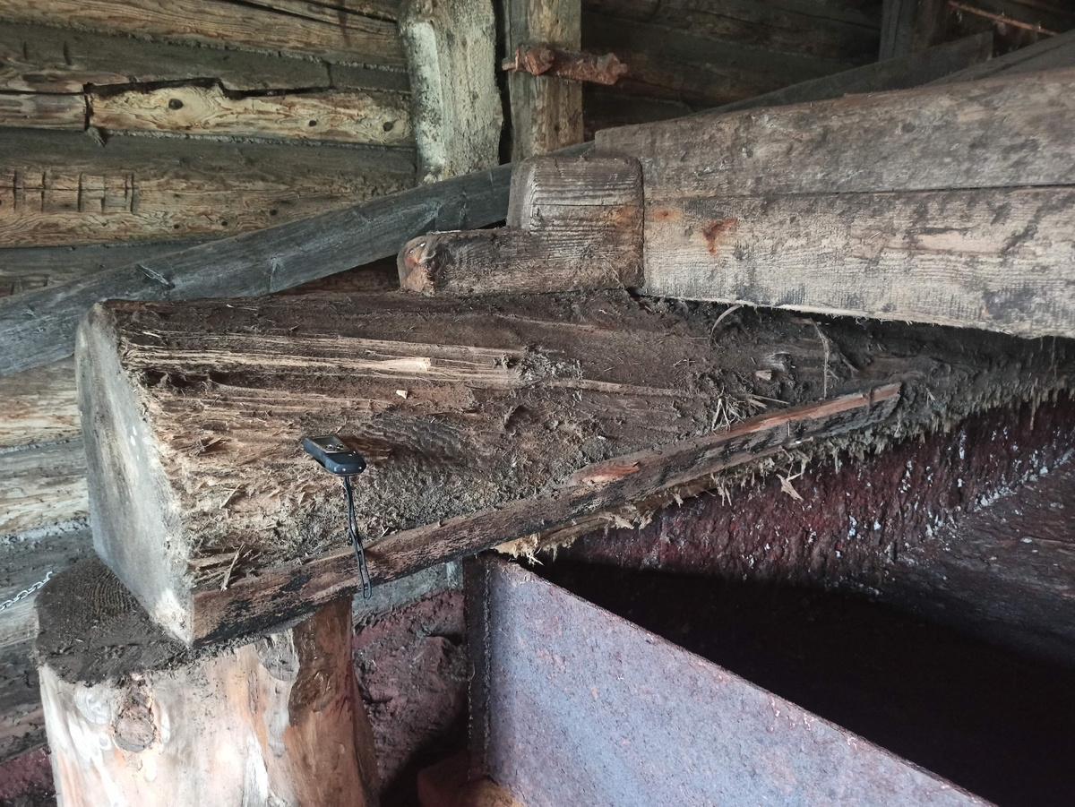 Вот так выглядит размягченная солью древесина