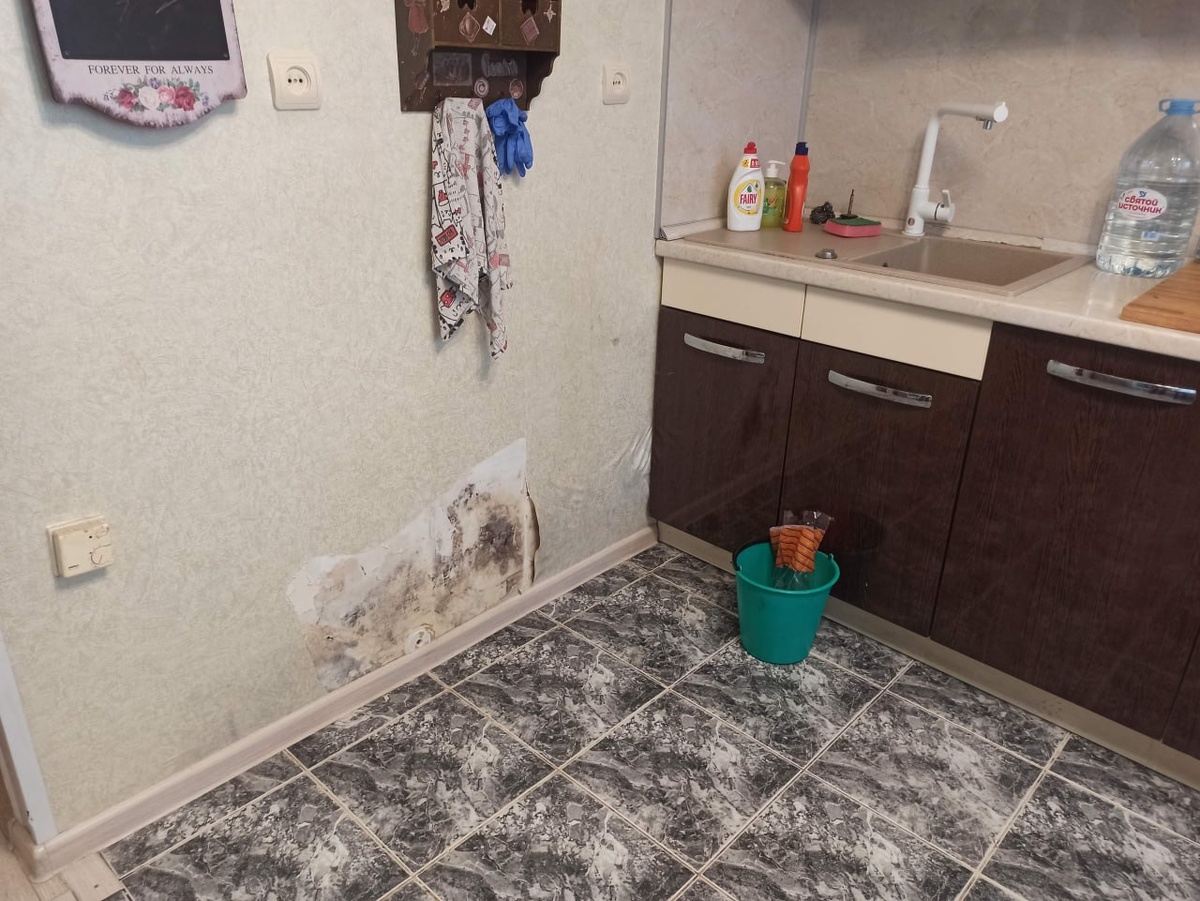 Плесень на стене, из-за которой ко мне обратился заказчик