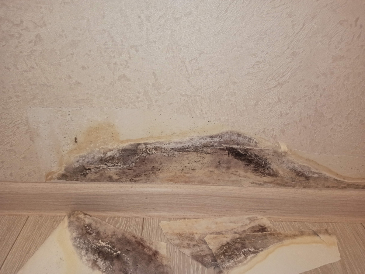 А вот так выглядит участок затемнения после снятия обоев