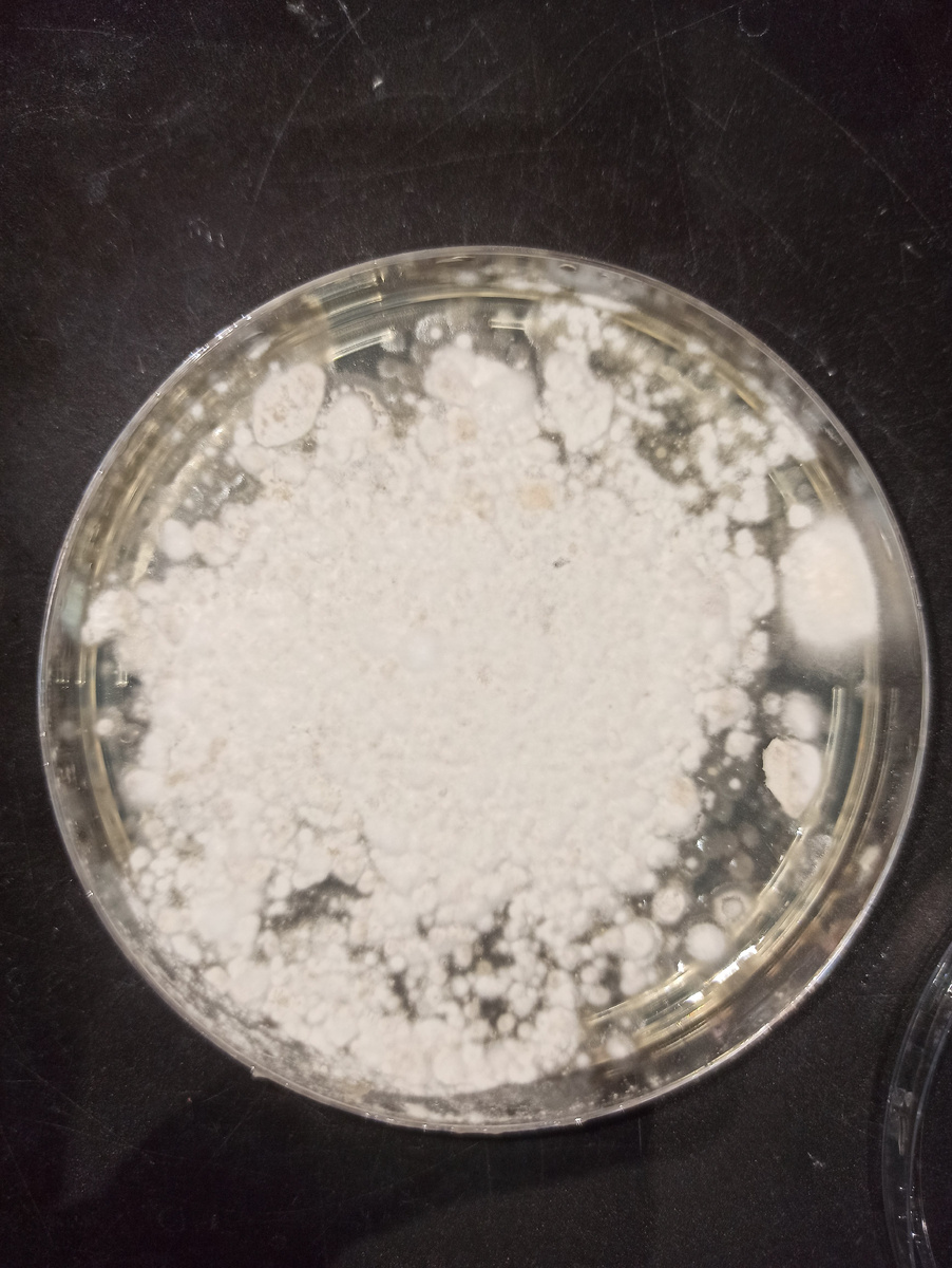 А вот и то, сколько же плесени выросло из образца стены с застарелым поражением