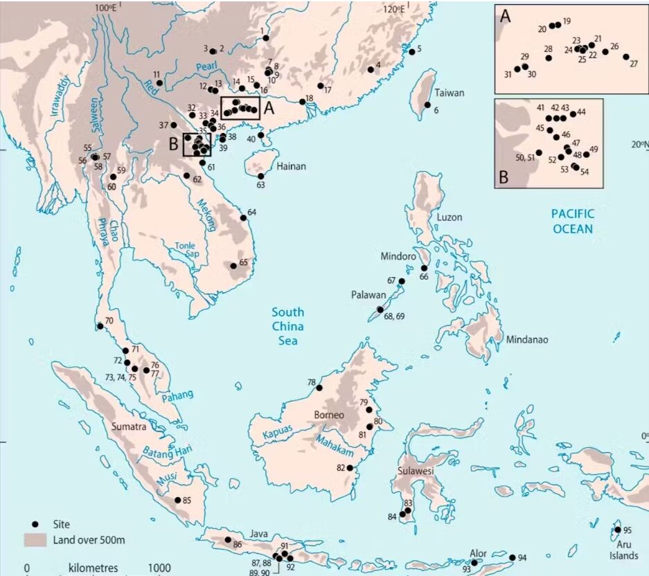 На юге Китая и в Юго-Восточной Азии были обнаружены захоронения охотников-собирателей, которые сидели на корточках. Хунг и др. / PNAS