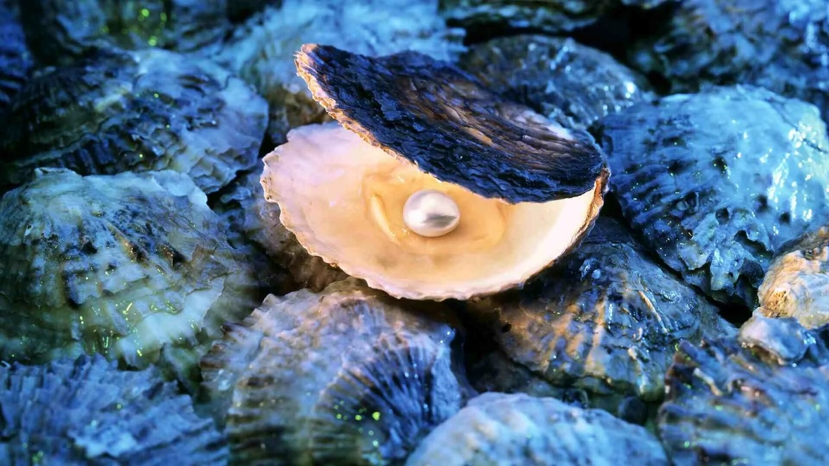 Фото с сайта: https://ezine-articles.com/what-makes-sri-lanka-the-pearl-of-the-indian-ocean/