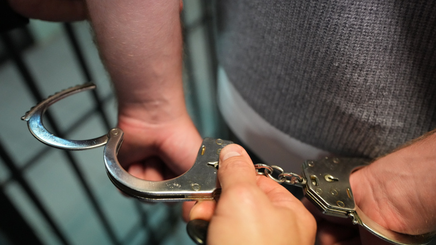    Фото: ИЗВЕСТИЯ/Дмитрий Коротаев; 5-tv.ru