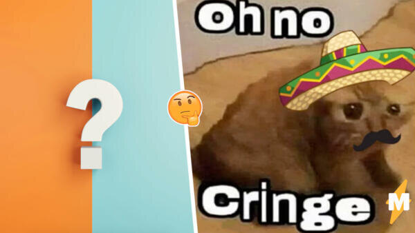 medialeaks.ru📷Мем с мексиканским котом