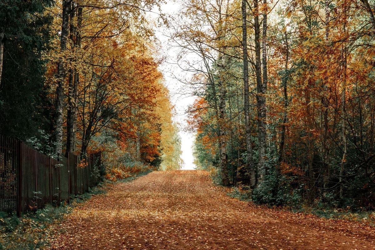    Фото: «Республика» / Оксана Кудряшова