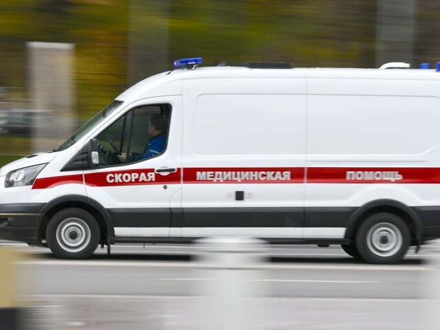    Фото: Москва 24/Антон Великжанин