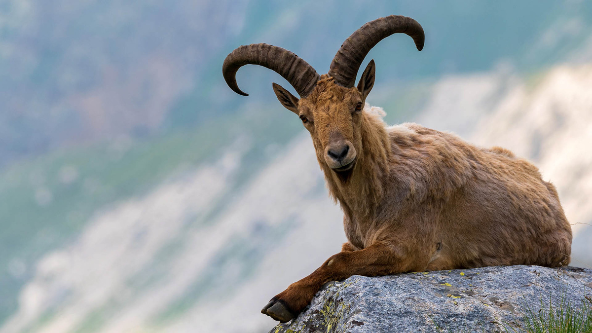 Фото с сайта: https://intourist.ru/info/russia/adigeya/kamennomostskij/excursions/