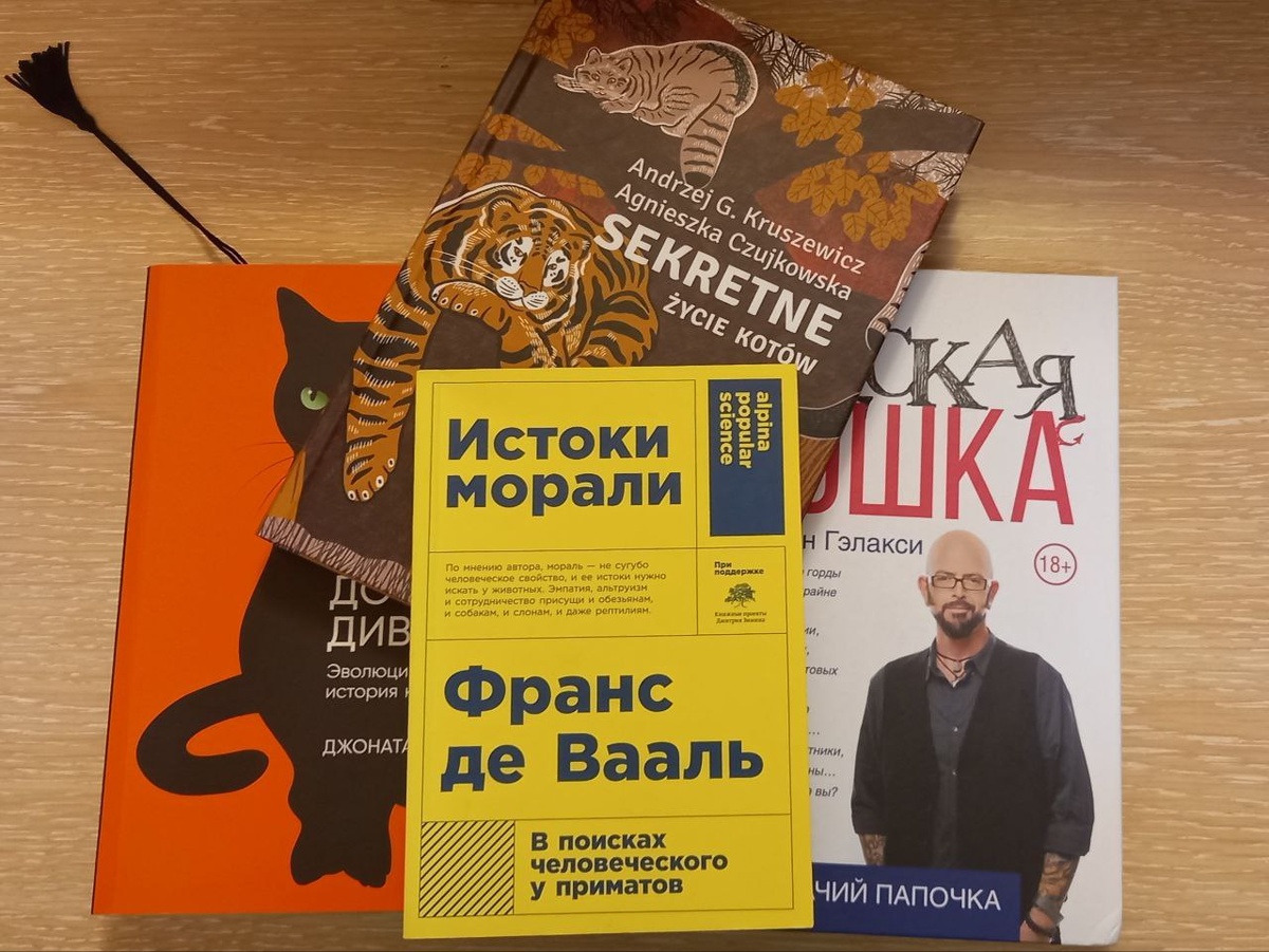 Малая часть моей библиотеки. На первом плане как раз упоминаемая книга.
